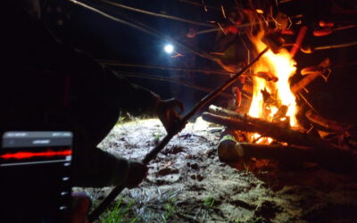 Zwierzęta Nocy – coś nowego w przekazie